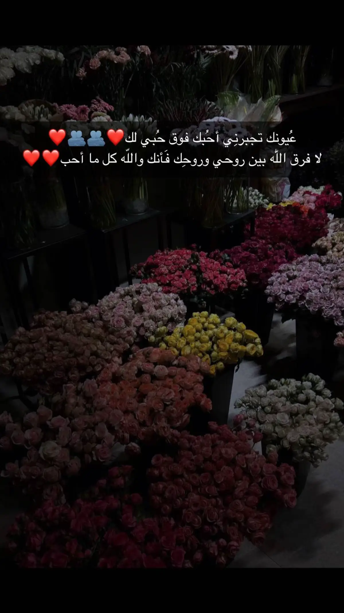 عُيونك تجبرنِي أحُبك فوق حُبي لك❤️🫂🫂❤️ لا فرق اللّٰه بين روحي وروحِك فأنك واللّه كل ما أحب❤️❤️