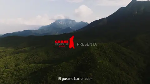 Carne Mexicana x Witto González #carne #carneasada #carnemexicana #witto #rancho 