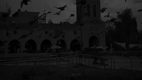 کەس بەلایەوە گرینگ نەبوو🖤.#لولە #liia4aa0 #im_ravo_acc✅ #fyppppppppppppppppppppppp #active #account #tiktok #share #im_ravo✅ @TikTok @For You @TikTok España 