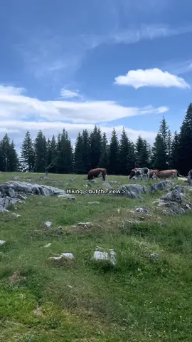 Legs are destroyed #nature #austria #graz #fyp #rawafidh 