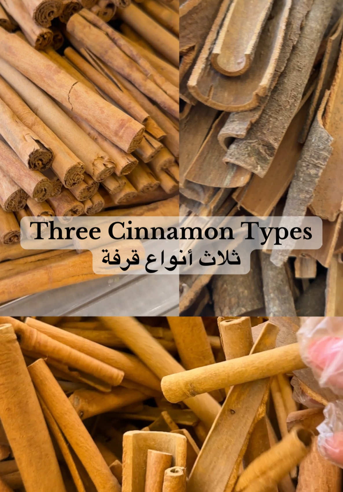 From bold bark to smooth rolls and premium cigar-style – visit us & find your perfect match! #cinnamon #ceyloncinnamon #spice #spices #flavor #cooking #tea 