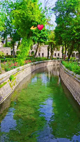 تركيا 🇹🇷♥️اورفتنا الجميلة ❤️😍مساء الورد 🌸🌼🪷🦋🤗📷