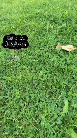 #pageforyou🦋💫 #tiktokviralvideos❤️ #loveallah😘🕋🤲🏻 #jummamubarak 