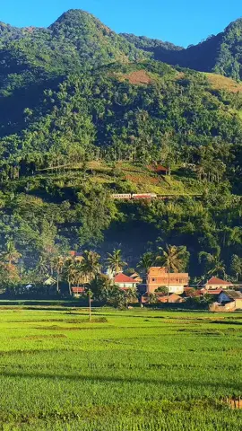 Kereta Melintas Bukit Karikil 📹 : @ekkydiandro  #kai #kai12 #kereta #keretaapi #indonesiarailways #train 