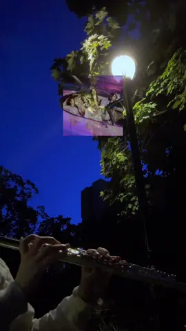 Perfect Night (added a little karaoke session at the end 🌙 #lesserafim #perfectnight #flute