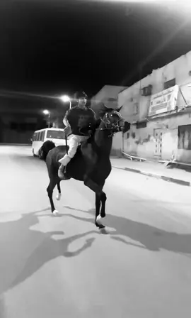#الشعب_الصيني_ماله_حل😂😂 #مالي_خلق_احط_هاشتاقات #CapCut #خيل_وخياله🐎 