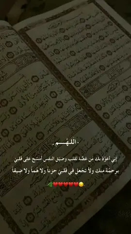 #قران_كريم_ارح_سمعك_وقلبك #دعمكم_ورفعولي_فديو #صدقه_جارية_احمد #اكتب_شيء_تؤجر_عليه🌿🕊 #لايك_متابعه_اكسبلور 