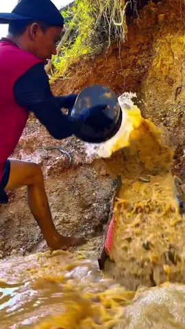 golden #golden #goldenretriever #goldenretrieverpuppy #viralditiktok #viralvideos #foruyou #foruyou #forpage❤❤❤ #plzzz_saport_me #plzsupport 