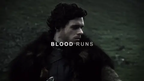 The North Remembers 🐺 #robbstark #jonsnow #branstark #nedstark #aryastark #sansastark #rickonstark #catelynstark #housestark #got #gotedit  Overlay : @starsoverlays 
