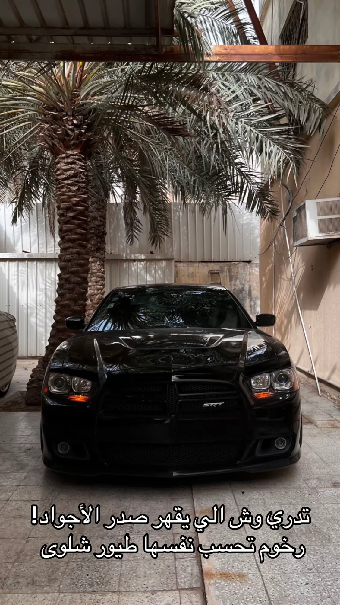 #fyp #viral #fyyyyyp #dodge #charger 
