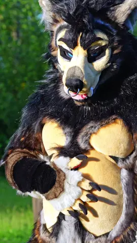 Wolf MAN 🐺🌕 #fursuit #fursuits #fursuiter #fursuiters #fursuitmaker #fursuitmakers #fursuitmaking #furries #furry #furriesoftiktok #furryfandom #furrycommunity #furryart #furryartwork #furryartist #furryartists #werewolf #anthroart #anthro #fursonas #fursona 