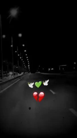 #مجرد________ذووووووق🎶🎵💞 #ياس_هاي_منين#من_تمشي_يفوح_النعناع#foryo #viral #العراق #سوريا #لبنان #foryoupage #اكسبلورexplore❥🕊🦋💚❤ #ياس_خضر_ابومازن_صوت_الارض💖 