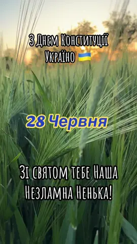 #рекомендації#рек#день#конституції#україни#привітання 