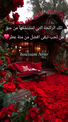 #كتاباتي_للعقول_الراقية_فقط #منشوراتي_مجرد_ذووق_ #شعراء_وذواقين_الشعر_الشعبي #كتاباتي_الخاصة #مغربيةوافتخر١🇲🇦💚💛 