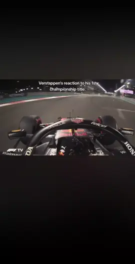 #verstappen #worldchampion #wc #radio #1st #redbull #iconic #fyp 