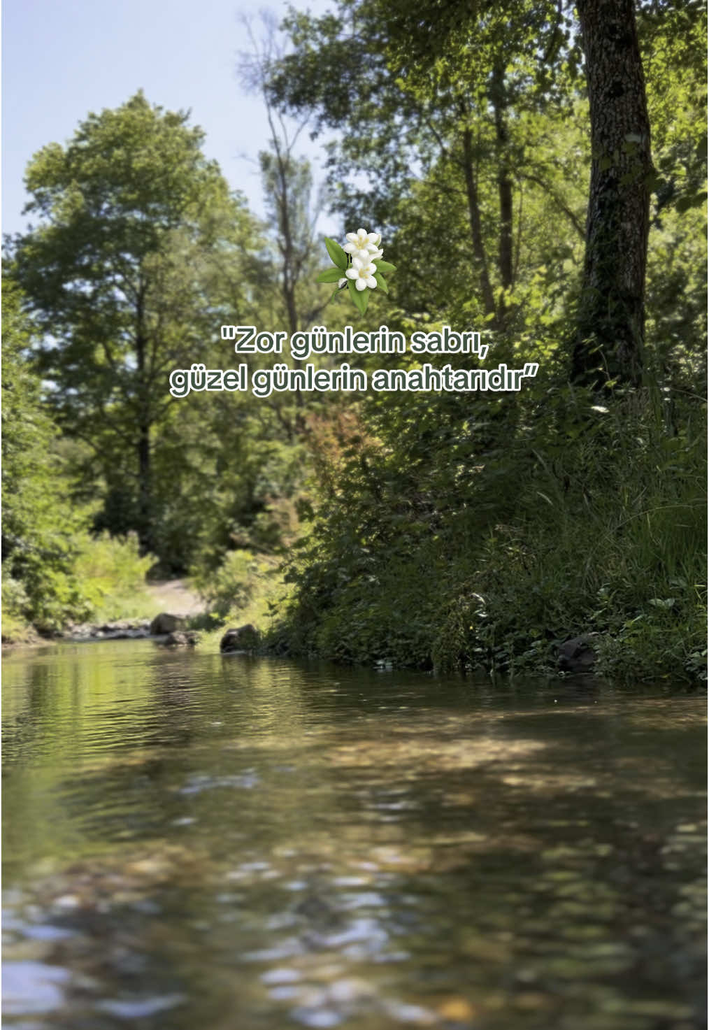 Başkalarına aldırma inandığın gibi yaşa💫#doğa #manzara #dere #çay #su #yaz #sıcak #hava #orman #doğalyaşam #piknik #keşfet #fypage #viralvideo #sözler 