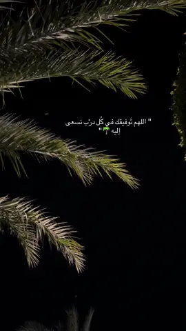 يا رب 🌴