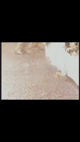 🎸 November rain - Guns N' roses        Está no es una canción, es un sentimiento  #axlrose #slash #rock #lluvia #gunsnroses #novemberrain #musica #rock #paratii #fpy  espero que la edición haya salido bien xd 