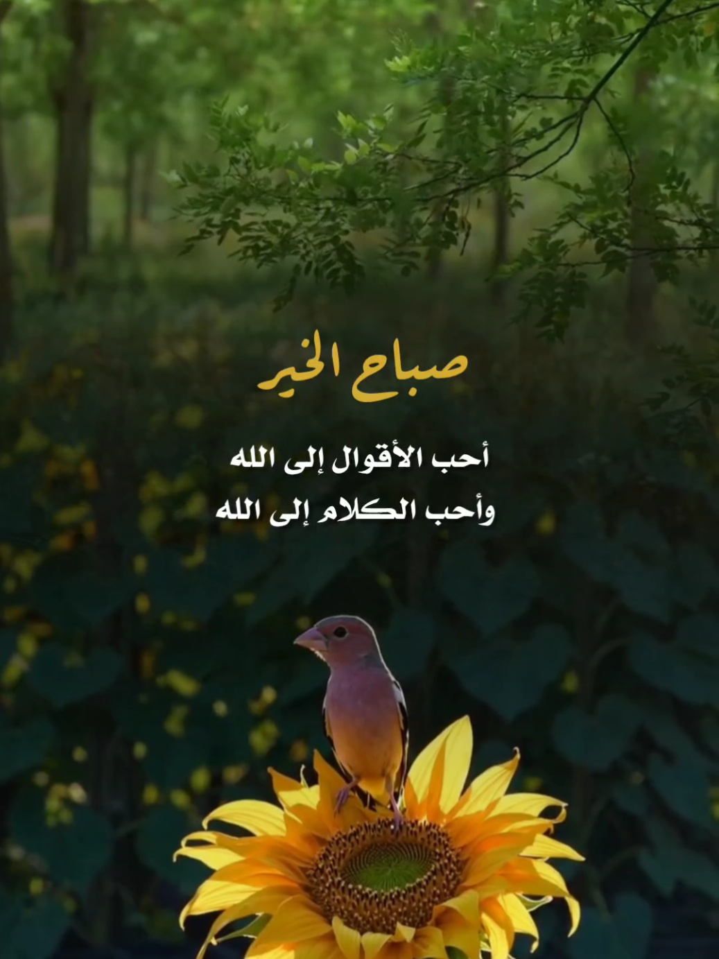 أحب الأقوال إلى الله تعالى #صباح_الخير #صباحكم_سعادهـ #اصبحنا_واصبح_الملك_لله_والحمد_لله# #اكسبلور#دعاء#يوم_جديد#تصاميم_ghym3377 #صباحكم_معطر_بذكر_الله #استغفرالله #اذكار# #الصباح #اذكار_المسلم #سبحان_الله_وبحمده_سبحان_الله_العظيم #صباح_الخير #اكتب_شي_توجر_عليه #انشر_تؤجر_بإذن_الله 