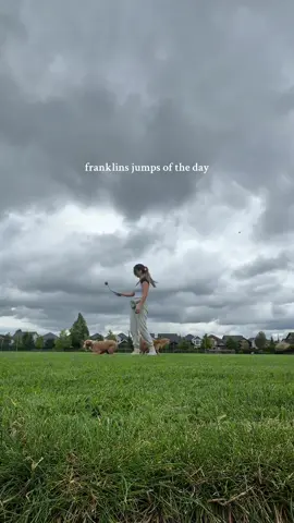 another day another jump fest 