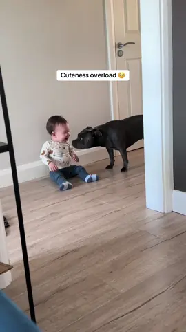 Just a toddler and their best friend 🥹 (via @Staffy Zoey) #dog #baby 