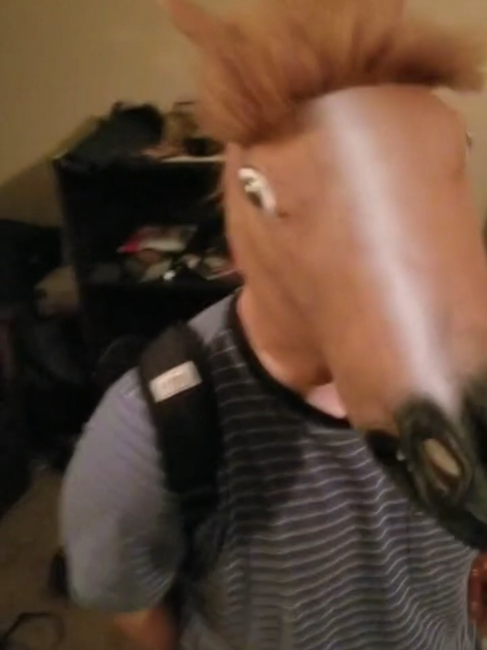 ah the joys of looking back at old unposted videos  #bojack 