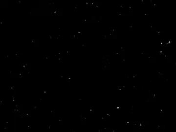 تبارك الرحمن 🤍| ﴿إِنَّ الأَبرارَ يَشرَبونَ مِن كَأسٍ كانَ مِزاجُها كافورًا﴾ [الإنسان: ٥] #قرآن  #ياسر_الدوسري 
