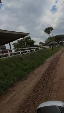 #Reflexão #Superação #motivacao #mindset 