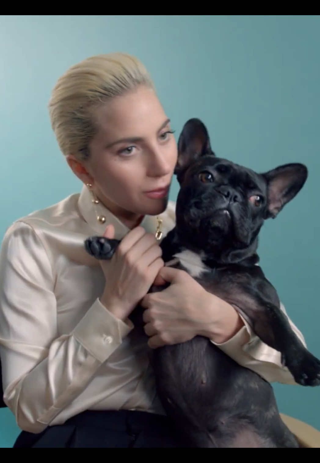 🥹❤️😍@ladygaga  #tiffanyandco #gaga #ladygaga #monstersneverdie #littlemonsters #ladygagavideos #unstoppable #putyourpawsup #littlemonters #bornthisway #mayhem #stefanigermanotta #tiktok #foryou #popmusic #trend #fyp #paravoce #fy #pv #parati 