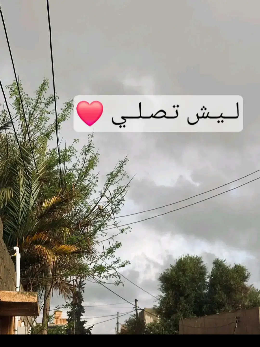 #الصلاة_على_النبى #استغفرالله_العظيم_واتوب_اليه #استغفرالله_العظيم_واتوب_اليه #استغفرالله_العظيم_واتوب_اليه #استغفرالله_العظيم_واتوب_اليه #استغفرالله_العظيم_واتوب_اليه 
