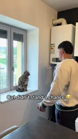 The silence 💀 (via @jymmyetheve🇷🇪) #cat 
