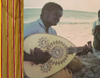 Mixing cultures is a bad thing people this is Somali culture not south  asian or any other culture that has been mistaken for it. When Somali people in the comments are trying to correct others, the reception to it has been disappointing. Others are just saying chill, it's not that deep, or just listen to the song. The thing is we have been, this song has been out for decades and Somali people have been listening to it.  I understand and love when cultures mix, but that starts with the appropriate recognition and respect for the culture involved. To me cultures should be appreciated for what it is but this feels like renaming culture. #culturemood #culture #culturemix #fyp #foryou #moodboard #durdurband #fo 