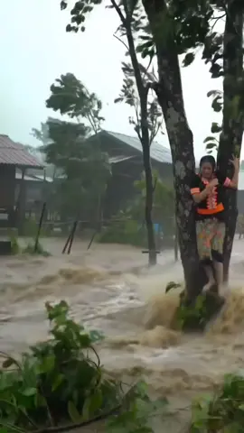 Satu Pohon, Satu Harapan: Bertahan Saat Alam Mengamuk #banjir #sadarbencana #fyp 