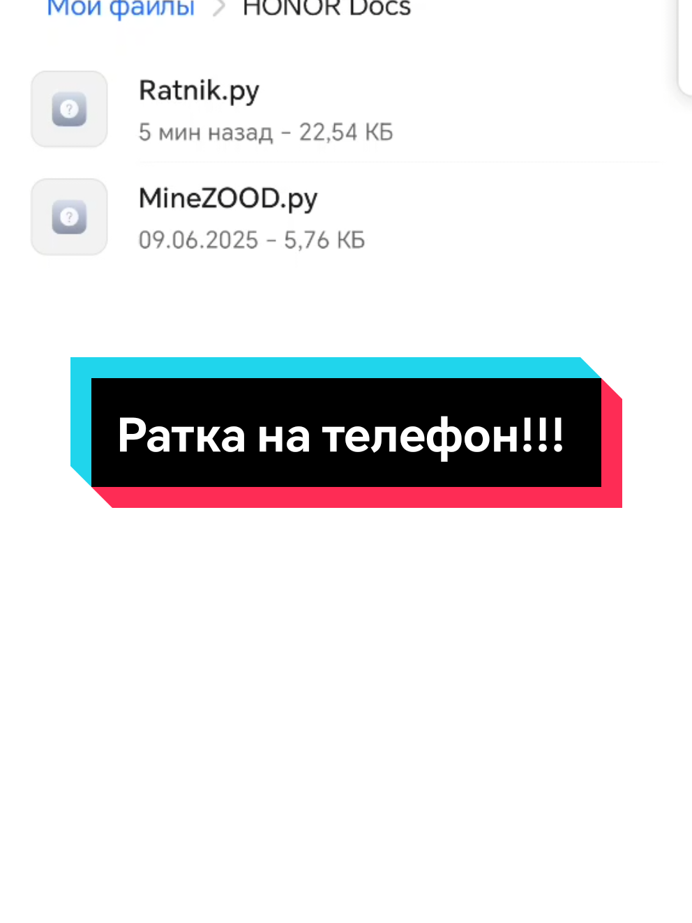 Ратка для телефона сделана как сносер для тг за покупкой с инструкцией в тг @alaska_sap Мой тгк со сливами школьников на ратках @alaska_saps ! Ратка активна только когда запущен 