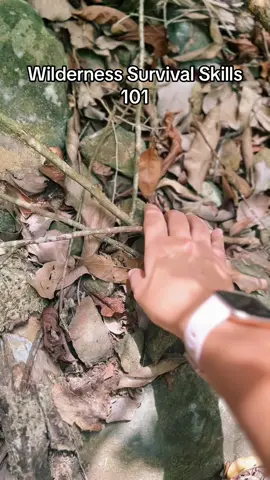 #survival #wilderness #caribbean #naturaldisastersurvival 
