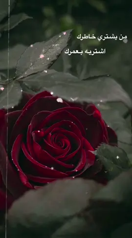 #همسات #foryou #اكسبلور #fypシ゚ 