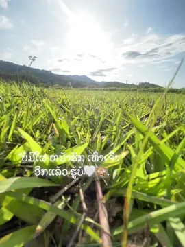 🤍🙈.#เทรนด์วันนี้ #ຟິດດດດ✨ #ແທັກແຟນ #17y #fyp 