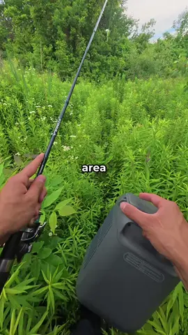 Fishing in the thick woods #fishingvideos #AnkerSOLIX #AnkerSOLIXC300 