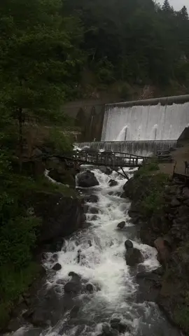 #uzungöl #تركيا #turkey #explore 