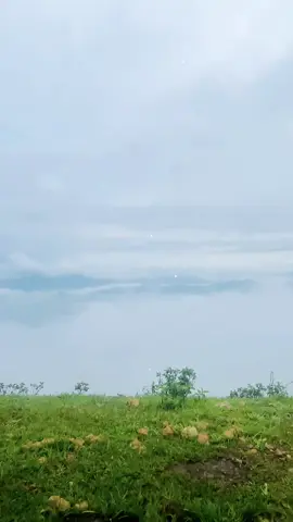 Cảm thấy chênh vênh thì về bên anh  