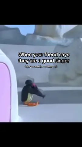 They must be Tone deaf #nootnoot #pingu #friends #singing 