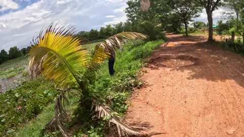 ចូលគីឡូមួយហេីយ