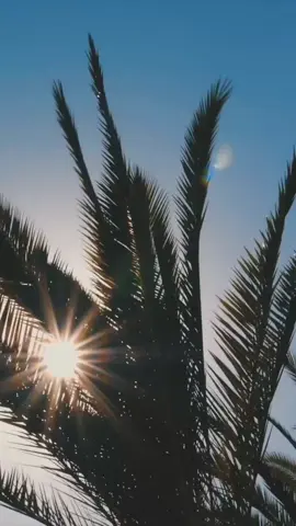 Vaca recap! My husband is a videographer/editor and never ceases to amaze me on how he can edit something so nicely in such a short amount of time.  #trending #fyp #christiantiktok #christianmama #orlando #vacation #momanddad 