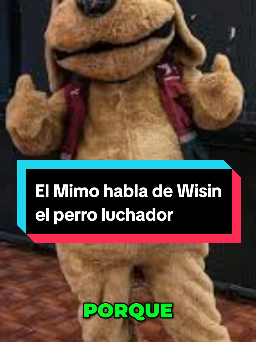 El Mimo habla del  Wisin el perro luchador #mimo #actor #luchador #wisin #wisinthedog #luchalibremexicana #luchalibreindependiente #luchalibreindependiente #entrevistaluchalibre #podcastclipsviral #vocesydesafios #rocko @wisineldog 