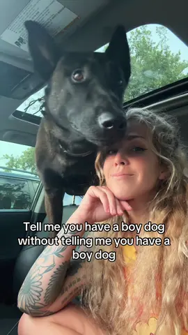 “I must protect my mom, always“ #boydog #dogmom #belgianmalinois 