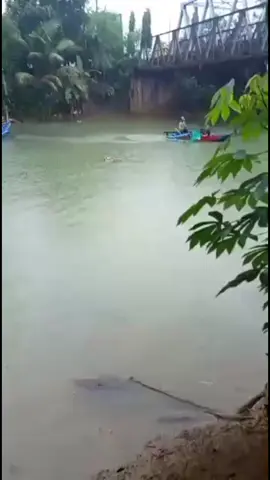 Fenomena Ikan impun yang datang secara tiba-tiba di aliran sungai dekat pantai Konang Nglebeng Panggul 