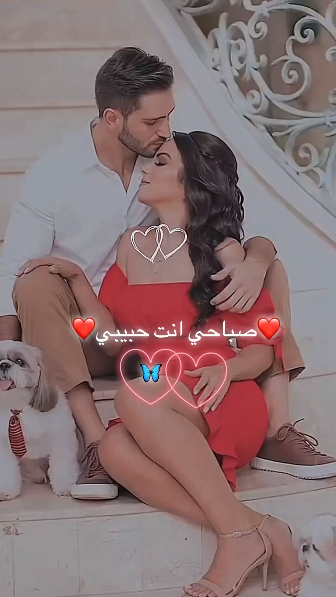 ❤️❤️❤️❤️❤️❤️❤️❤️❤️🫂🫂🫂🫶🫶#❤️❤️❤️❤️❤️❤️❤️ #عباراتكم_الفخمه📿📌 #نبض_قلبي #👏🏻👏🏻🎼🎻💃 #tiktok 