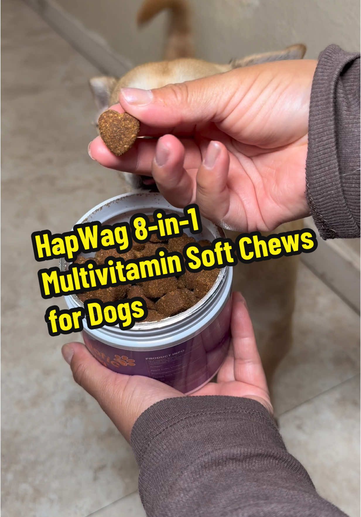 HapWag 8-in-1 Multivitamin Soft Chews for Dogs #tiktokshop #multivitamins #dogvitamins #dogprobiotic #fypシ゚viral 