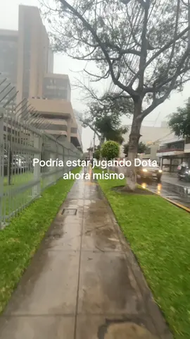 Odio trabajar y estudiar #dota2 #dota #peru🇵🇪 #trabjo #caminar #lluvia 