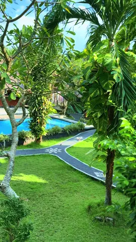 I think I want to retire already 😆 #indonesia #bali #nusalembongan 